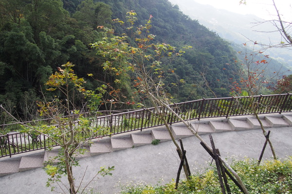龍鳳瀑布空中步道：【南投】龍鳳瀑布空中步道