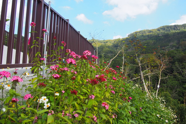龍鳳瀑布空中步道：【南投】龍鳳瀑布空中步道