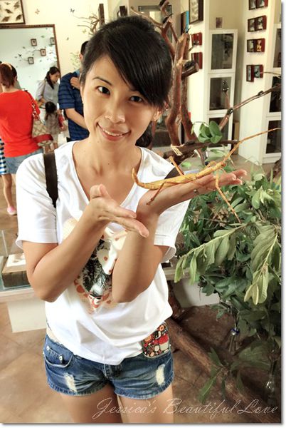 1435384323672_mr1435395661083