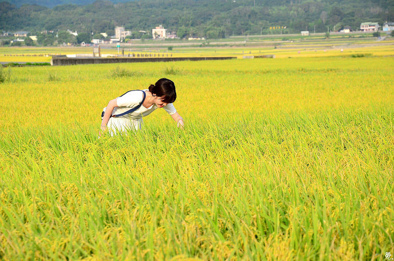 Bon Bon Hair X 台東景點推薦 (63)