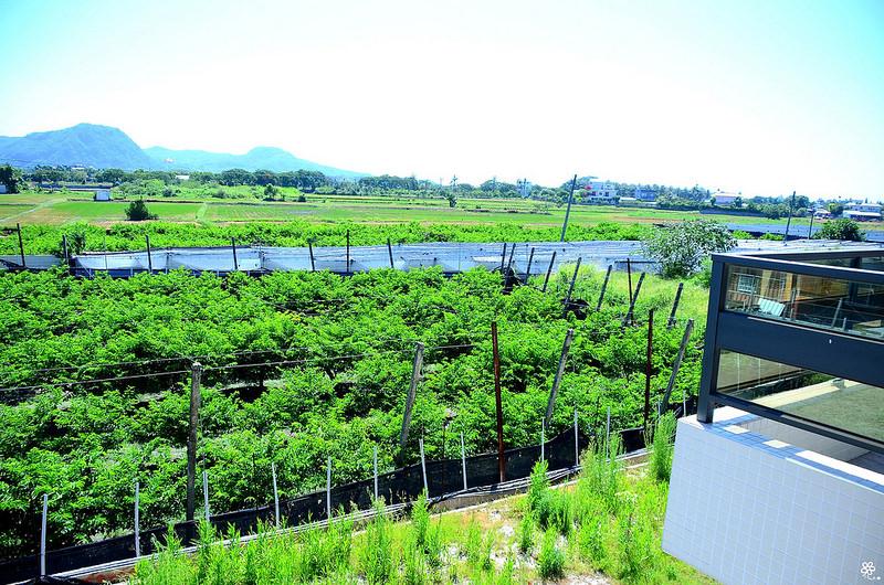 02詩肯柚木scanteak X 彩虹莊園民宿 (32)