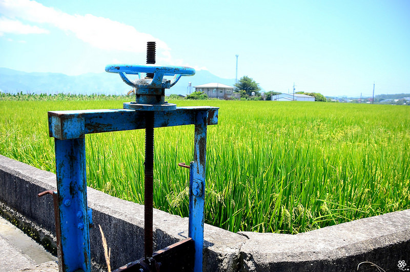Bon Bon Hair X 台東景點推薦 (26)