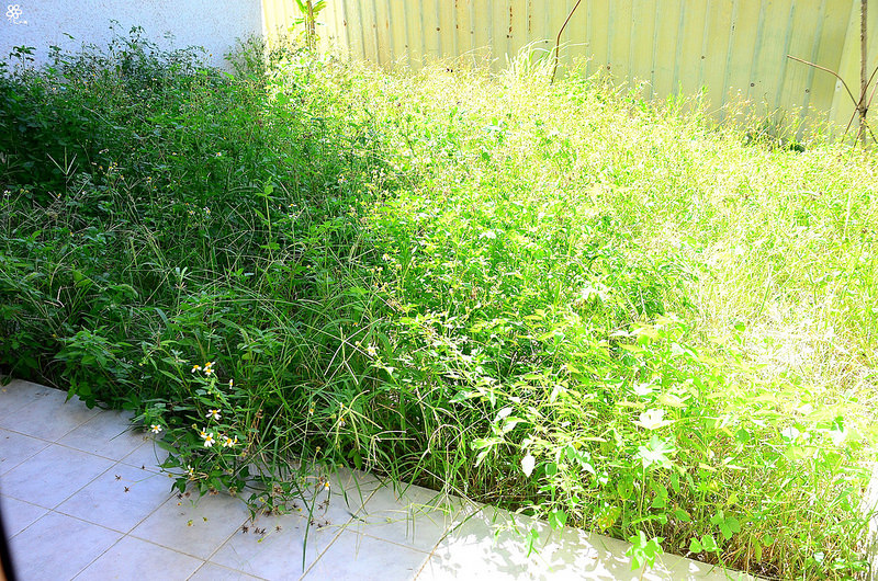 02詩肯柚木scanteak X 彩虹莊園民宿 (51)