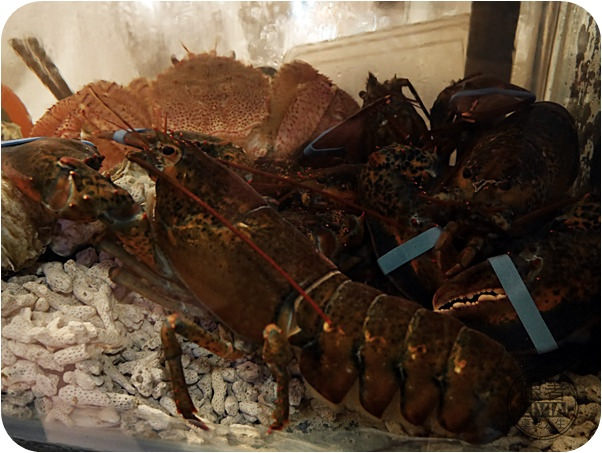 0810-心月懷石日本料理 (12)