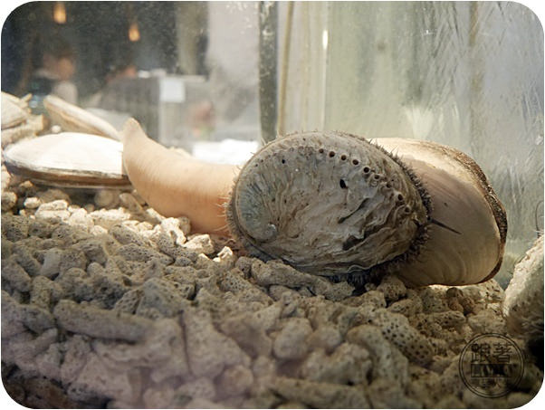 0810-心月懷石日本料理 (13)