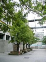 實踐大學(Shih Chien University)：大直國趴趴走7．實踐大學