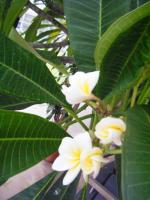 實踐大學(Shih Chien University)：大直國趴趴走7．實踐大學