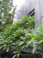 實踐大學(Shih Chien University)：大直國趴趴走7．實踐大學