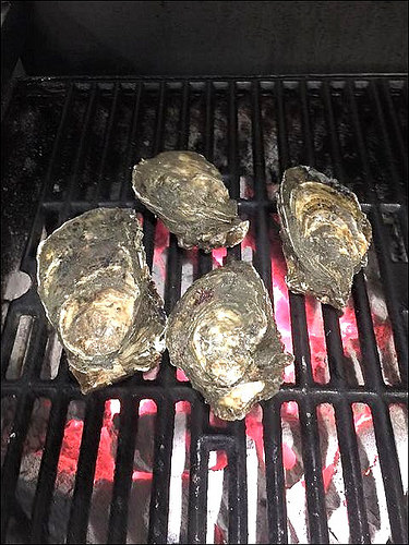 11028972_2023141897825105_441066961297730322_n