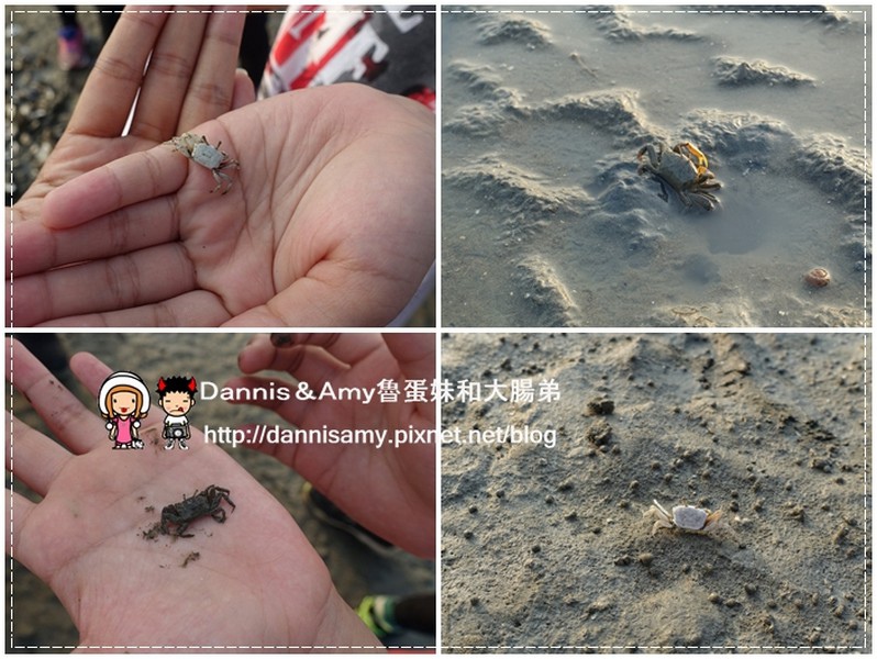 乾泰豐蔬食咖啡 (4)