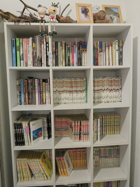 好日子咖啡 MDcafe:台北 捷運石牌站 好日子咖啡館~百元鄉村風好店