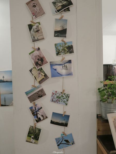 好日子咖啡 MDcafe:台北 捷運石牌站 好日子咖啡館~百元鄉村風好店