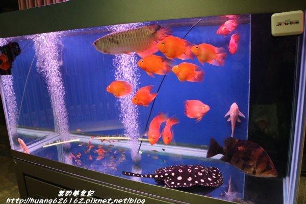 約客頂級燒肉：【台北大安區】這是我目前為止吃過最好吃燒肉店『約客頂級燒肉』必點鮮切牛肋條、上選牛小排、海鮮綜合盤~