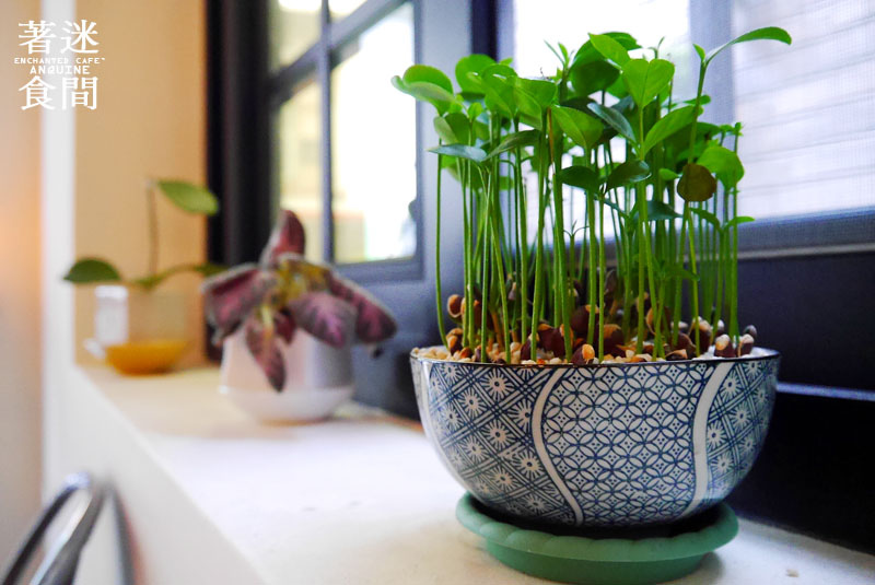 廖西瓜@雲林斗六著迷食間ENCHANTED CAFE28