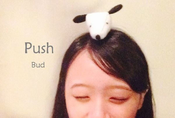 美麗豬豬生日_9889