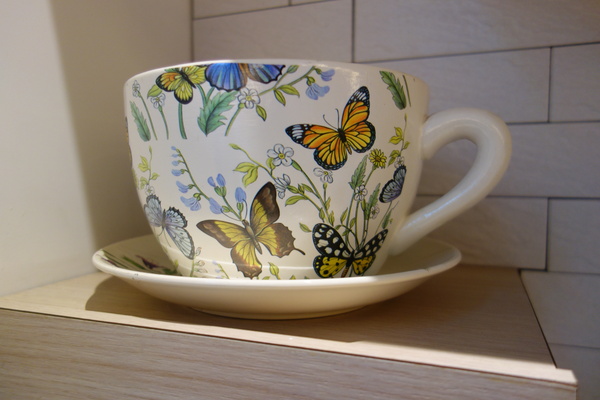 OOTTIMO意式廚房：1040802[官本金文愛台灣]台中市西區美味Oottimo意式廚房窯烤披薩義大利麵焗烤燉飯吃到飽或單點皆吃得很爽