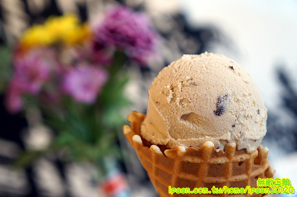 Felicità 費尼希卡義式冰淇淋:【台南-北區】夏天來吃冰!用鮮奶作成的義式冰淇淋..大推蘭姆葡萄.香蕉.義大利軟乳酪..《Felicità 費尼希卡義式冰淇淋》
