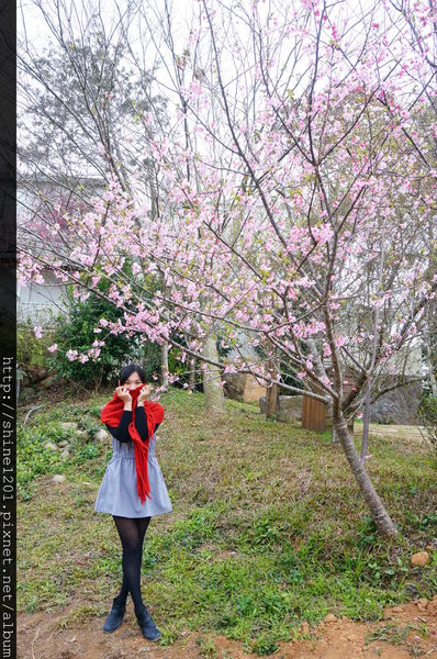 【苗栗景觀餐廳】Villa Villa 魔法莊園 苗栗親子旅遊景點推薦