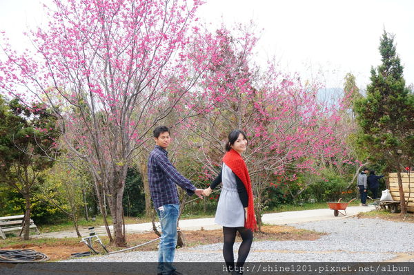 【苗栗景觀餐廳】Villa Villa 魔法莊園 苗栗親子旅遊景點推薦