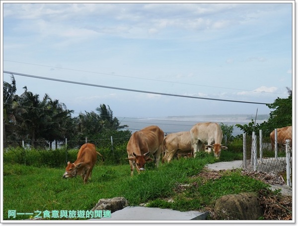 富麗灣景觀民宿(FullyOne B&B)：台東民宿 富麗灣景觀民宿～青山大海相伴，滿天星斗當帳篷