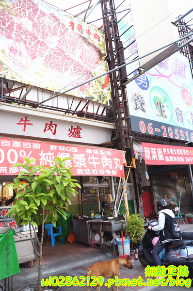 天才現宰牛肉爐(原:天才現宰牛肉鍋):【台南-永康區】隱藏版x現宰牛..食神撒尿牛肉丸=純牛肉無雜肉《天才現宰牛肉爐》