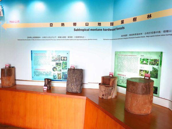 【花蓮旅遊景點】池南森林遊樂區-親子遊樂園