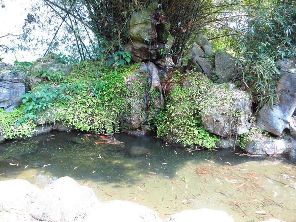 【花蓮旅遊景點】池南森林遊樂區-親子遊樂園