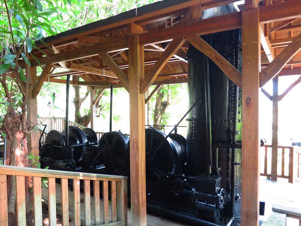 【花蓮旅遊景點】池南森林遊樂區-親子遊樂園