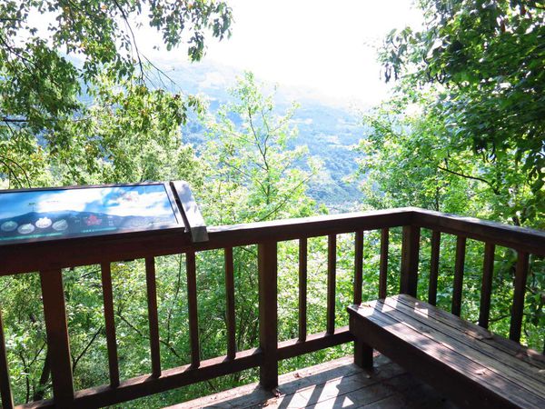 【花蓮旅遊景點】池南森林遊樂區-親子遊樂園