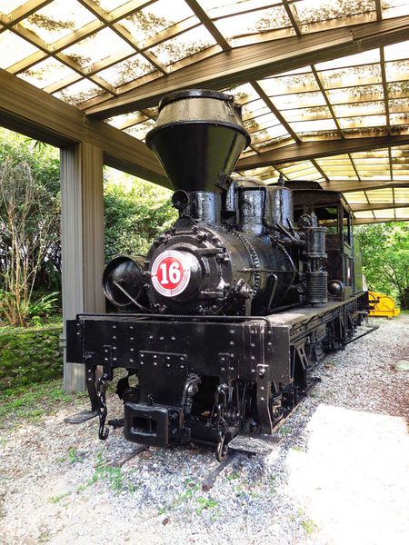 【花蓮旅遊景點】池南森林遊樂區-親子遊樂園