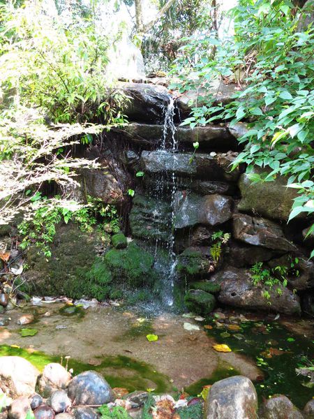 【花蓮旅遊景點】池南森林遊樂區-親子遊樂園