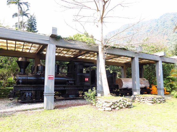 【花蓮旅遊景點】池南森林遊樂區-親子遊樂園