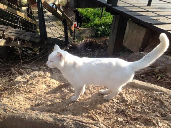 11828640_10155927549320273_6619552438678487975_n