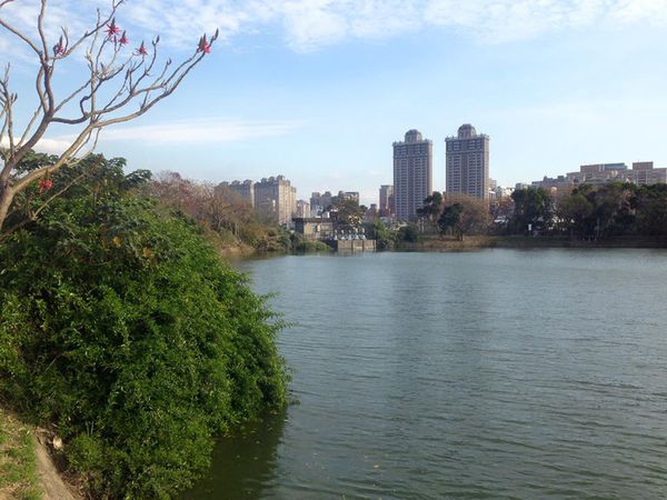 11062790_10155927548275273_5946345687709574946_n