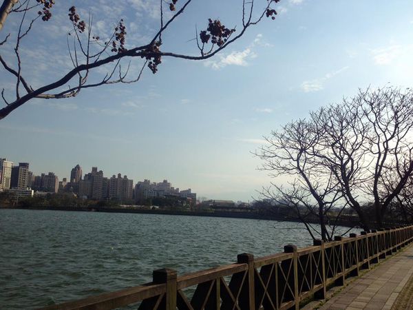 11825555_10155927548630273_1595240063753151620_n