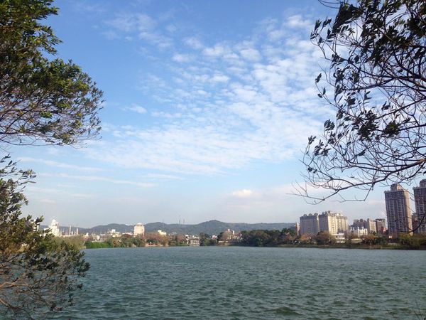 11822290_10155927548315273_4499810902125682127_n