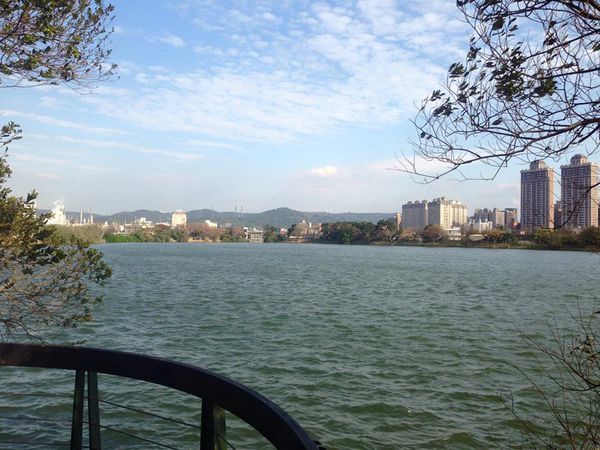 11822329_10155927548505273_2034328573012866210_n