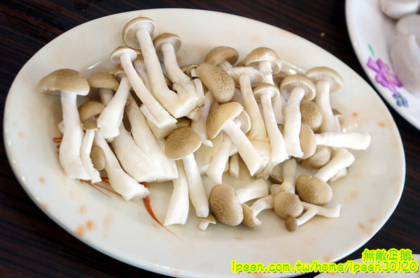 上牛村牛肉火鍋:【台南-中西區】現宰溫體牛x每天直送..意外撞見中天記者採訪~《上牛村牛肉火鍋》