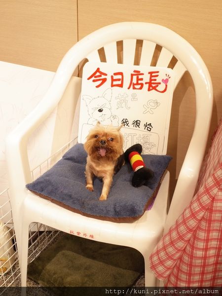 GR2 02062016 歪頭廚房 (3).JPG