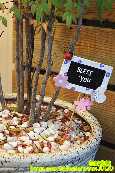 Sweet Tea 鮮奶舖 黑糖粉圓專賣店(崇德店):【台南-東區】手作黑糖粉圓+柳營鮮乳(純生乳)=青蛙撞奶...大推青蛙撞奶.青蛙總動員.檸檬愛玉.黑糖冰茶.黃金奶麥《Sweet Tea 鮮奶舖 黑糖粉圓專賣店》