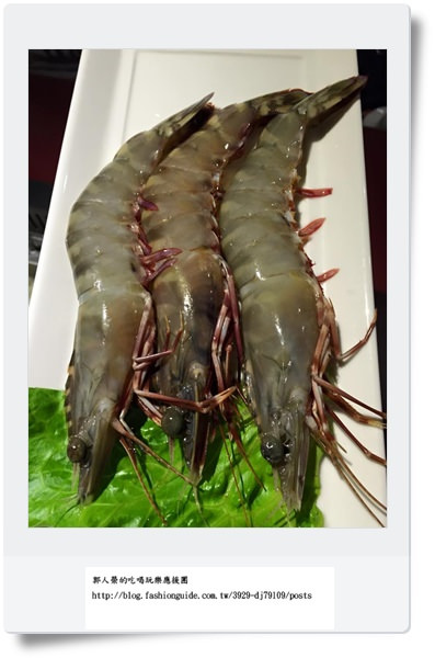 11182263_10204082123322499_654409943223807936_n