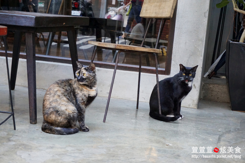 Remember Me CAFE (4).JPG