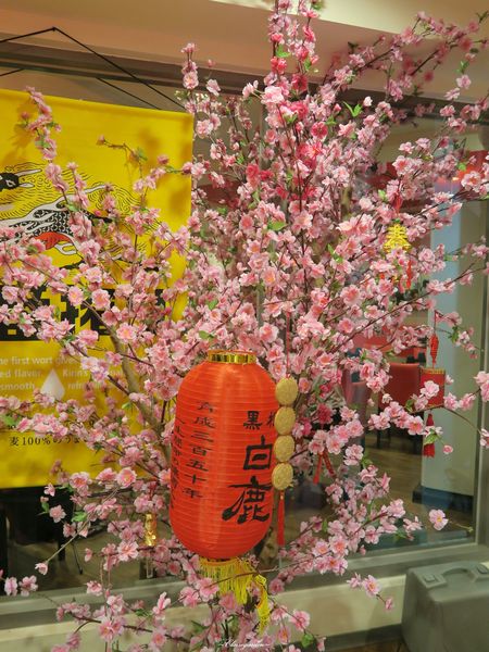 匠太郎創作日本料理：台北 捷運北車站 匠太郎創作日本料理~平價創意日式料理