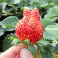 前往 靡靡 的 styleMe 個人頁