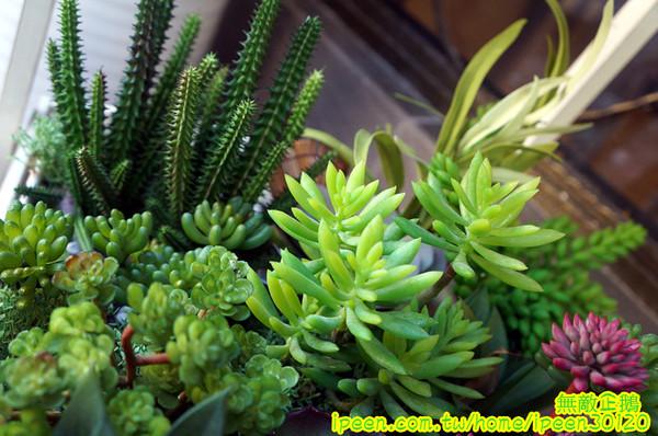 1004 Brunch 早午餐：【台南-中西區】天使x韓國歐巴..韓風早午餐~《1004 Brunch 早午餐》