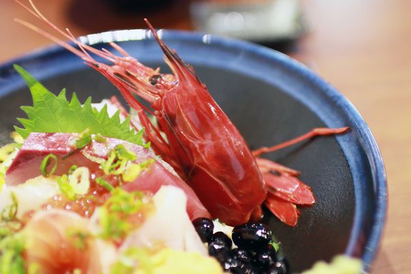 【台北餐廳】天海不解釋日式料理-新鮮海味、美味Bj4-捷運安和站