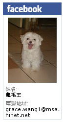 阿嬤的珍藏：【宅配】『阿嬤的珍藏』--Mini Tart芒果塔＋生巧克力塔--舌尖上的小幸福！