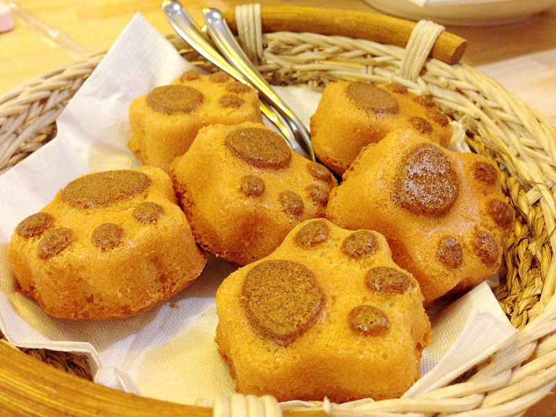 11911499_1060568440620468_778341265_n