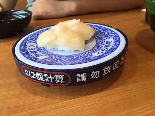 11949371_1138477259500748_9194114905299270381_n