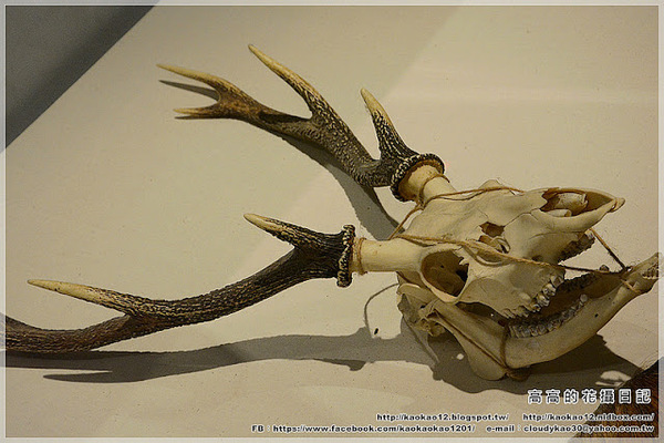 蕭壠文化園區:【臺南】佳里區。蕭壠文化園區